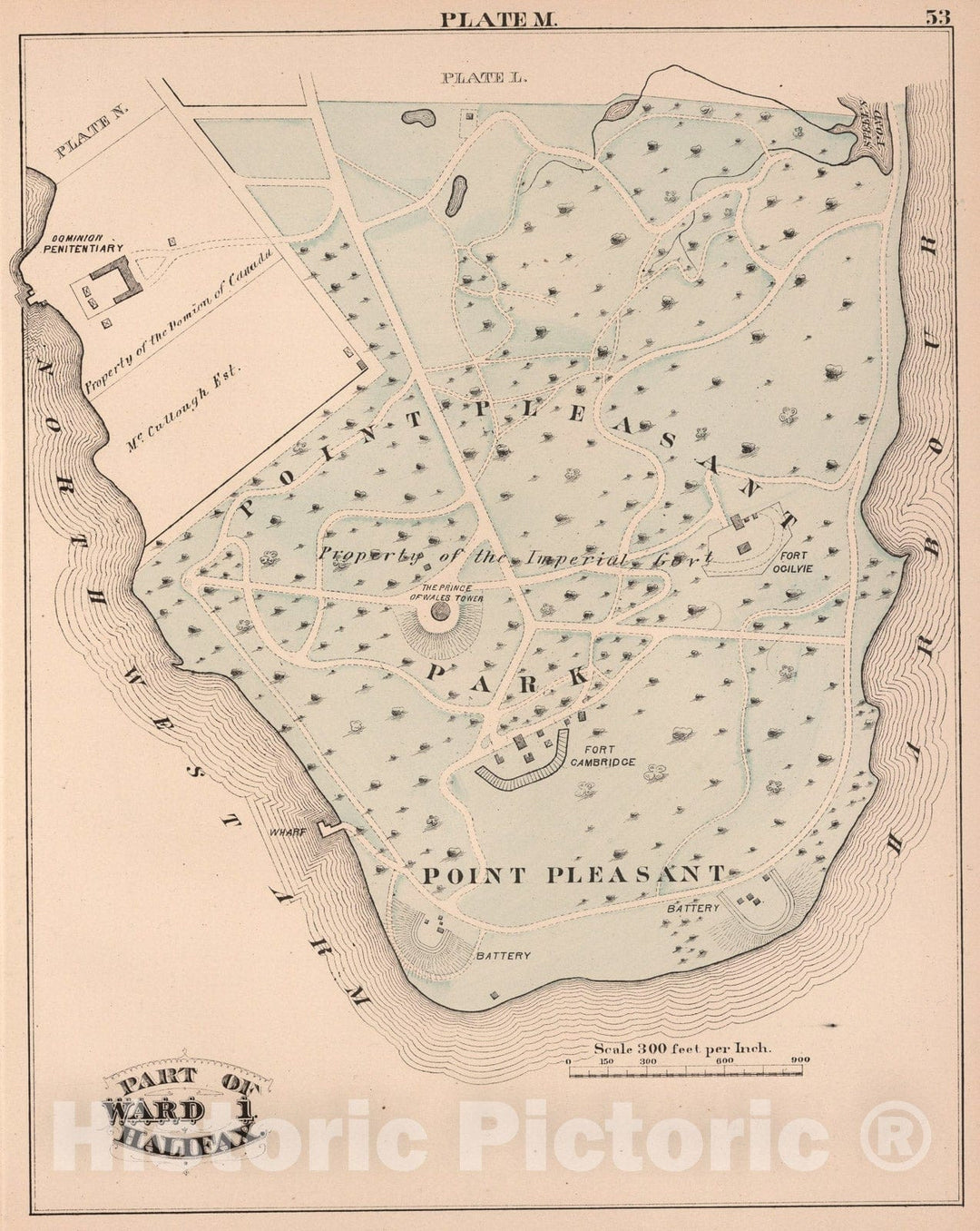 Historic Map : Plate M. Part of Ward 1, Halifax., 1878, Vintage Wall Art