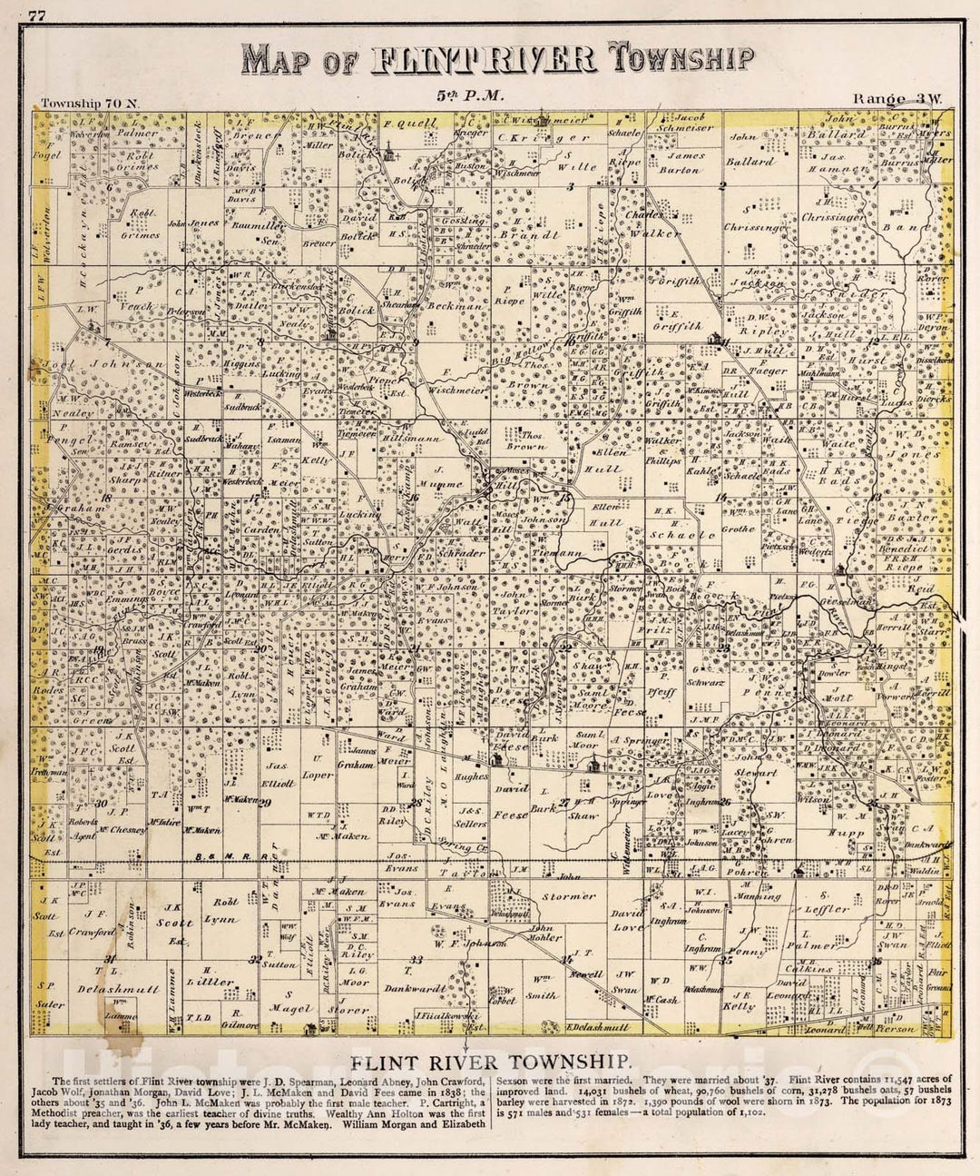 Historic Map : Flint River Township, Des Moines County, Iowa., 1873, Vintage Wall Art