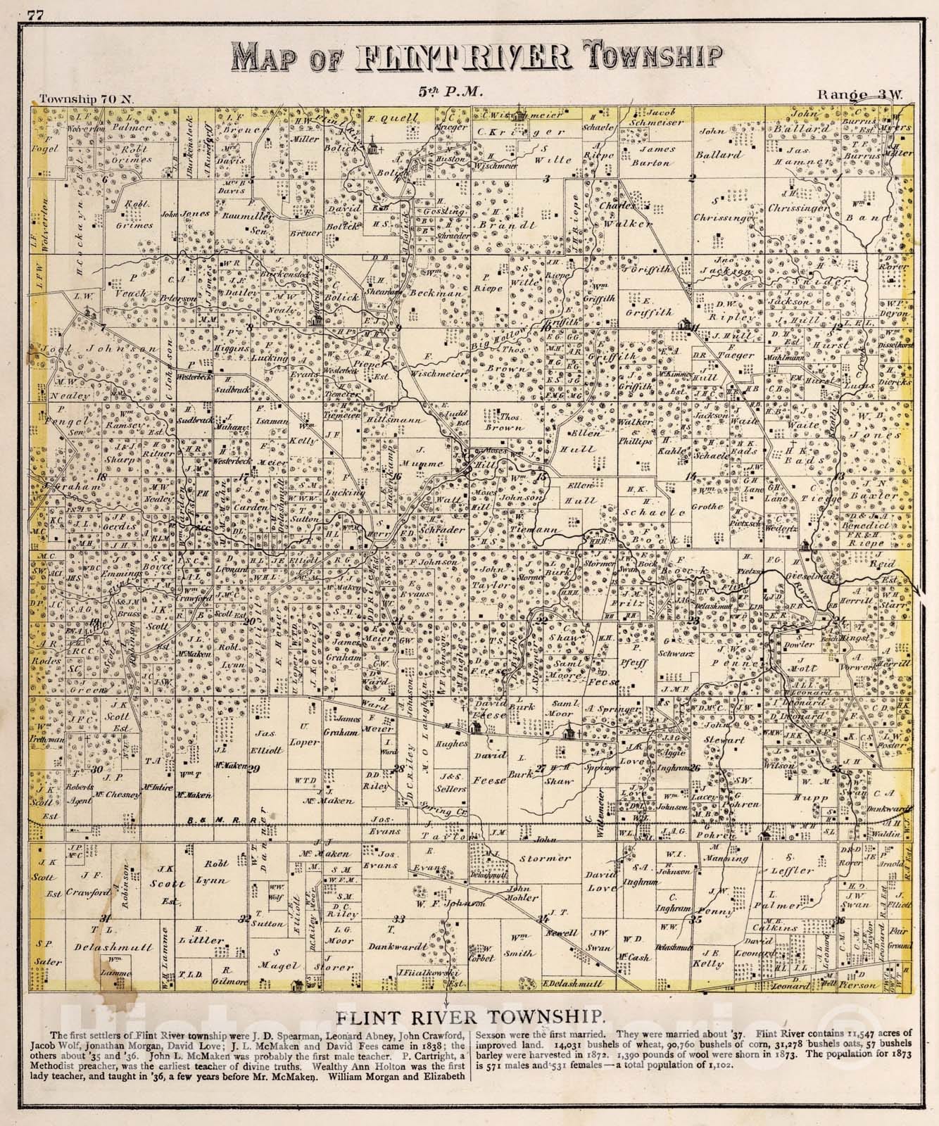Historic Map : Flint River Township, Des Moines County, Iowa., 1873, Vintage Wall Art
