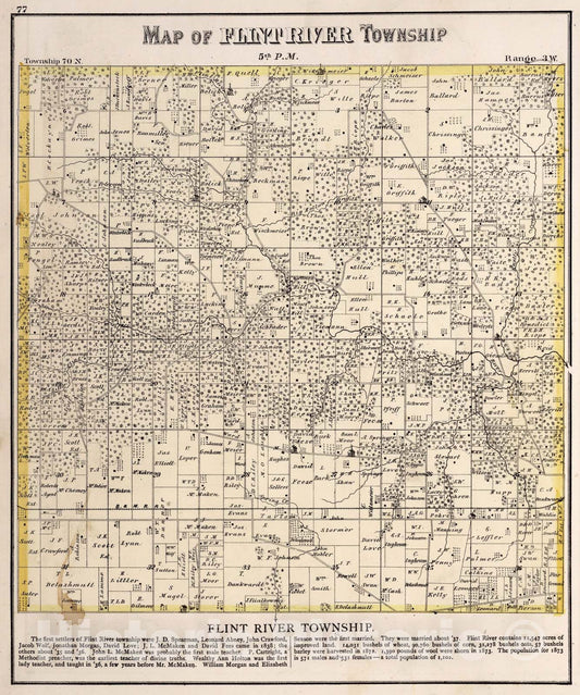 Historic Map : Flint River Township, Des Moines County, Iowa., 1873, Vintage Wall Art