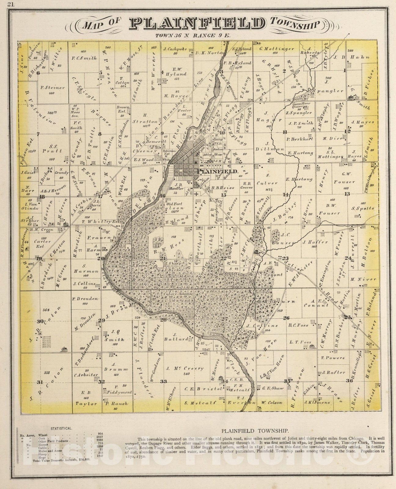 Historic Map : Plainfield Township, Town. thirty-six N. Range nine E., Will County, Illinois., 1873, Vintage Wall Art
