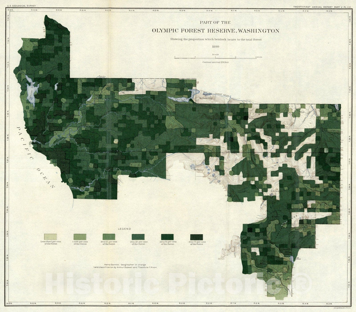 Historic Map : Plate LVI. Part of the Olympic Forest Reserve, Washington, the proportion hemlock., 1899, Vintage Wall Art