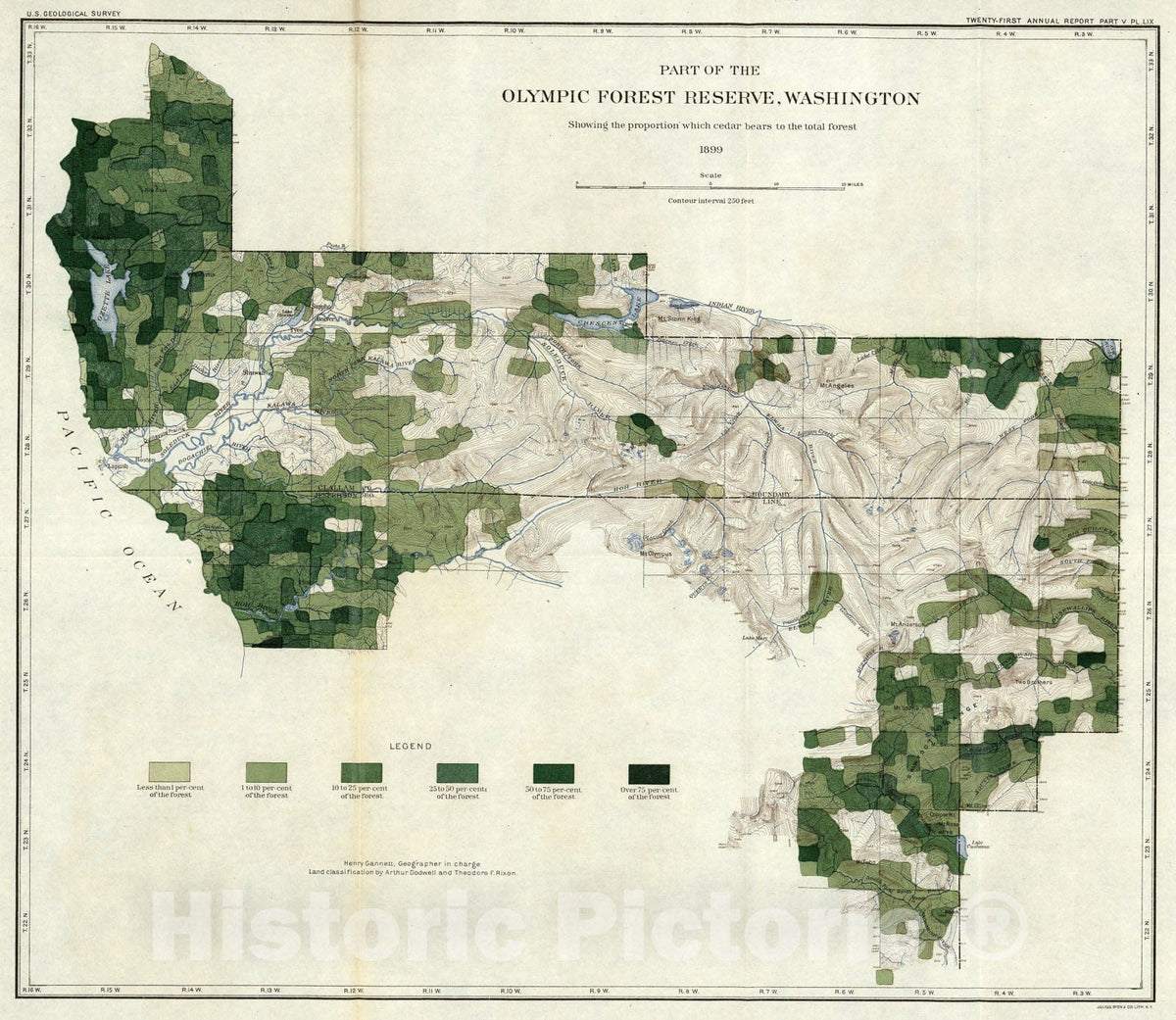 Historic Map : Plate LIX. Proportion of Cedar, Olympic Forest Reserve, Washington., 1900, Vintage Wall Art