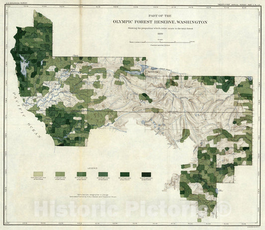Historic Map : Plate LIX. Proportion of Cedar, Olympic Forest Reserve, Washington., 1900, Vintage Wall Art