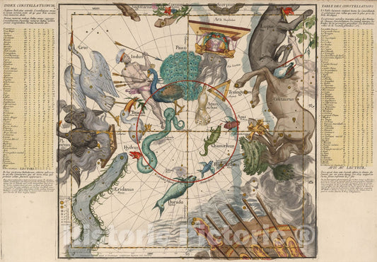 Historic Map : Plate 6: Centaurus, Indus, Chamaeleon and other constellations., 1693, Vintage Wall Art