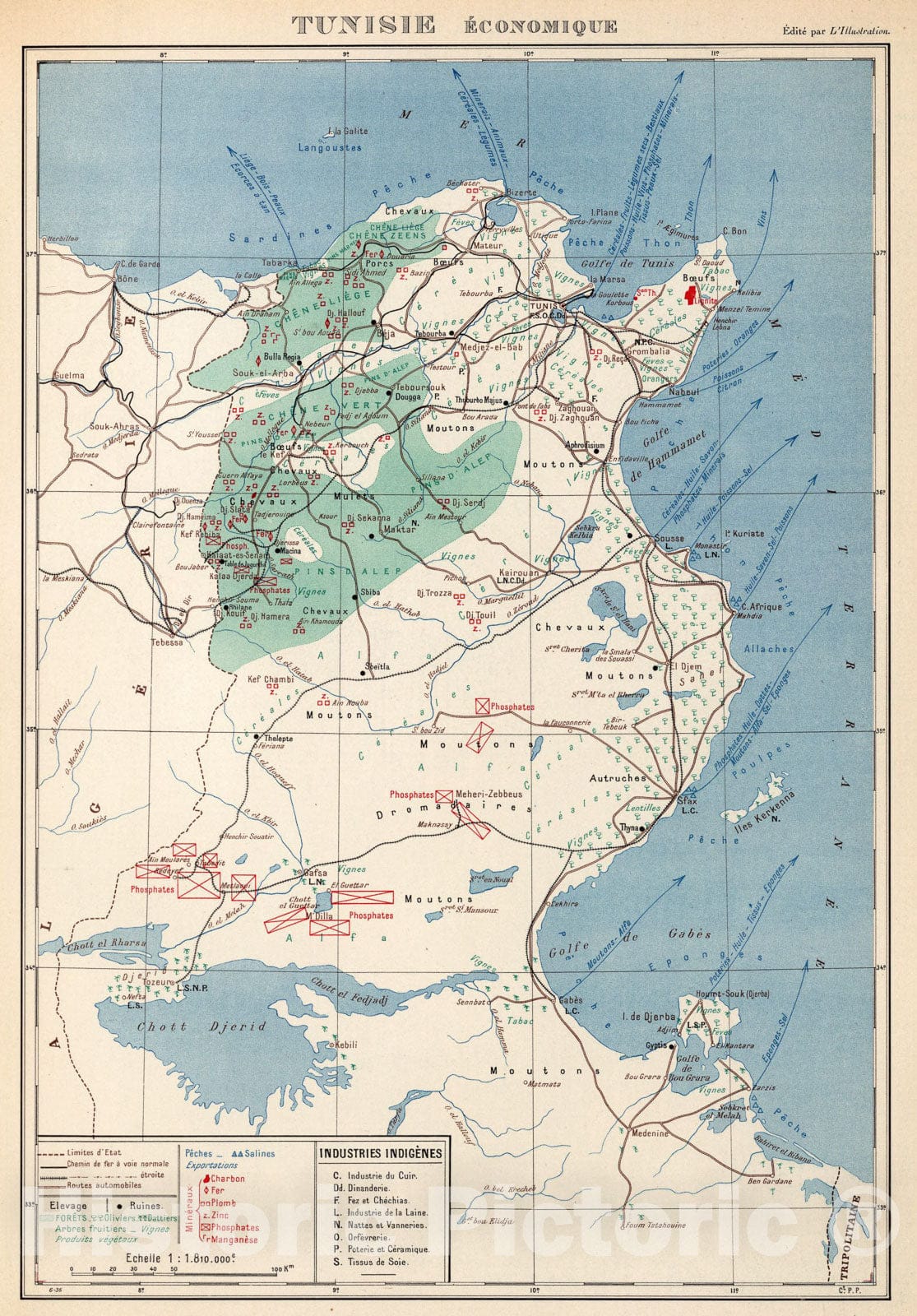 Historic Map : Planche nine bis. Tunisie Economique., 1nine3nine, Vintage Wall Art