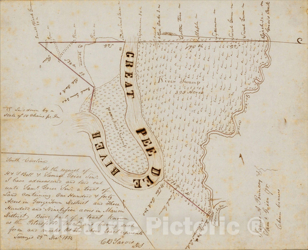 Historic Map : [Manuscript Survey Map: Part of the Petersfield Tract on the Great Pee Dee River, northwest of Conway, South Carolina], 1854, C.B. Sarvis, Vintage Wall Art