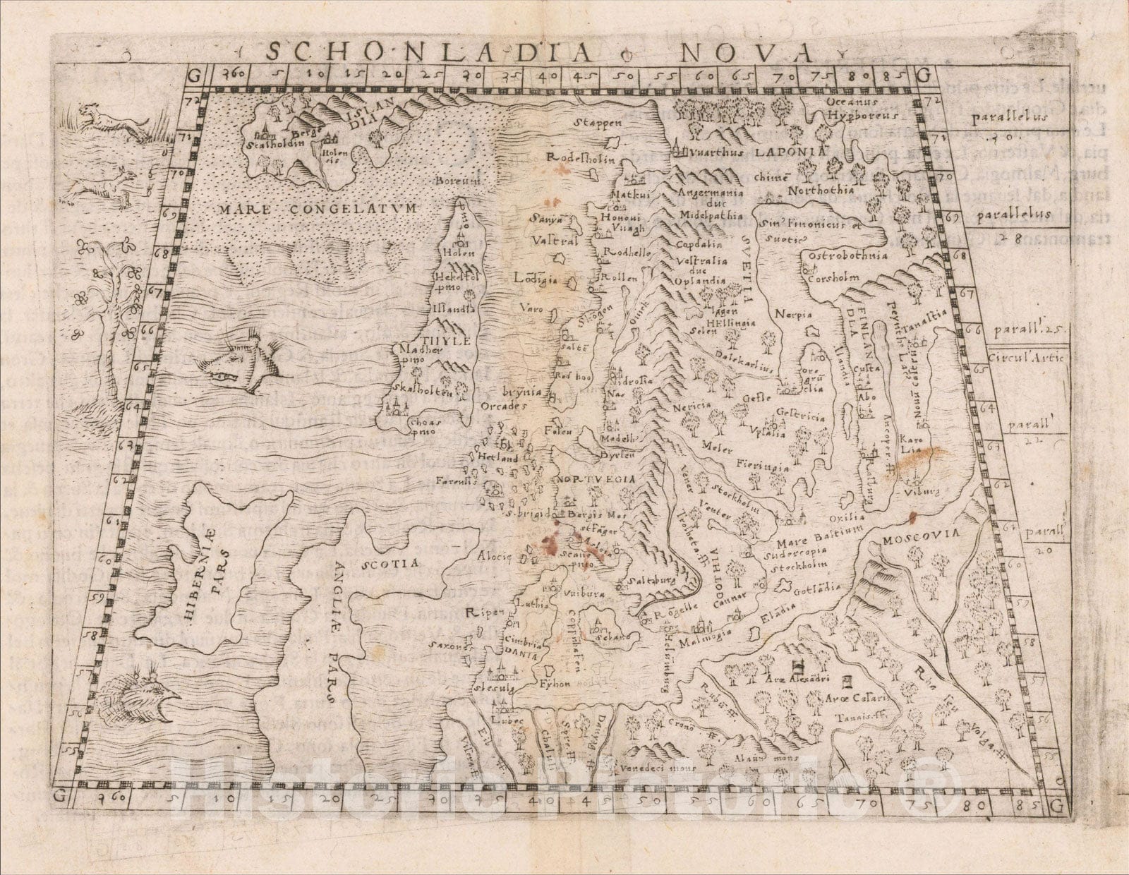 Historic Map : Schonladia Nova, 1548, Giacomo Gastaldi, Vintage Wall Art