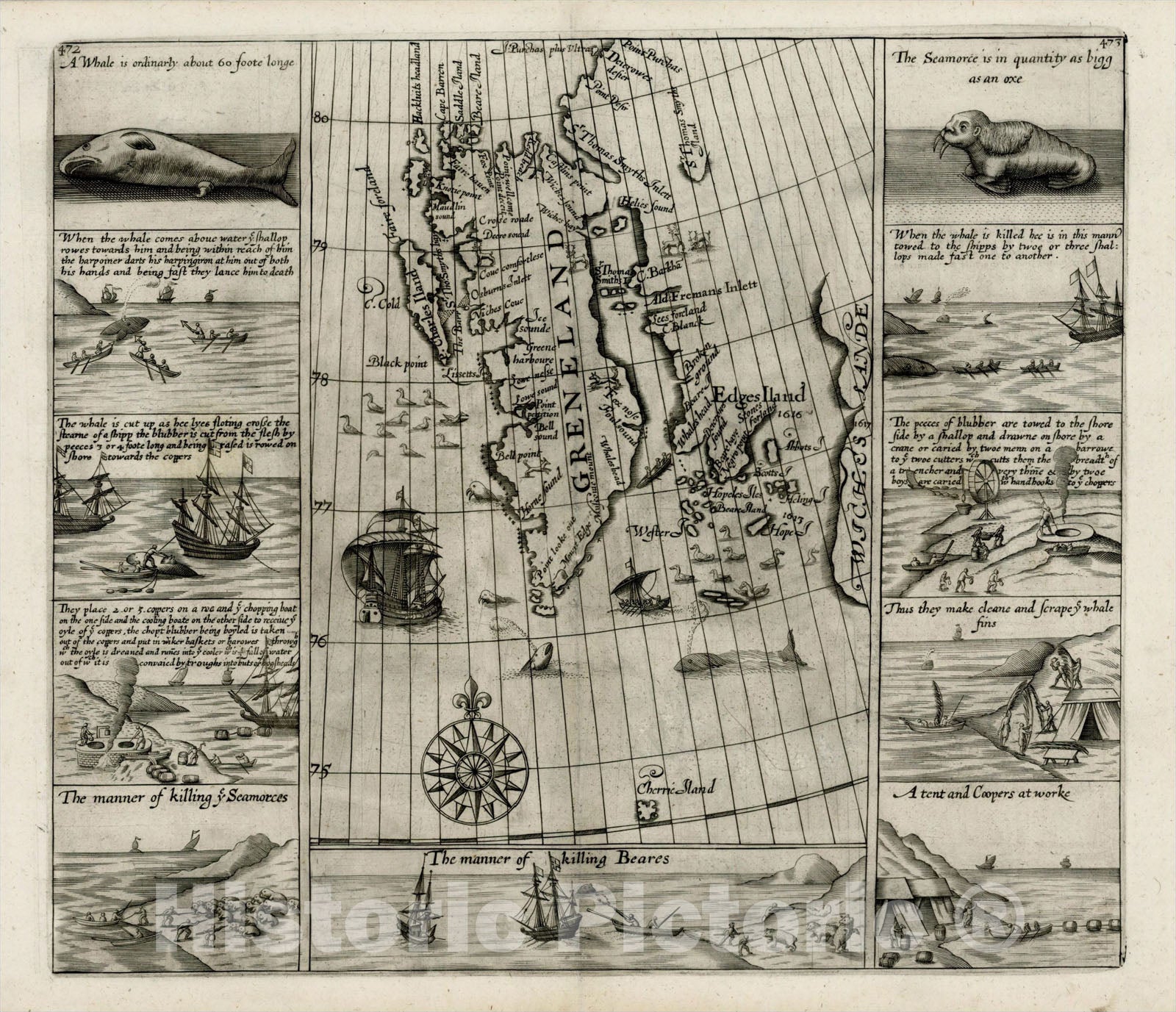 Historic Map : [Spitzbergen and Wiches Lande], 1626, Samuel Purchas, Vintage Wall Art
