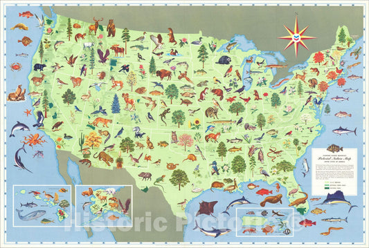 Historic Map : Standard School Broadcast Pictorial Nature Map United States of America, 1959, Standard Research Corporation, Vintage Wall Art