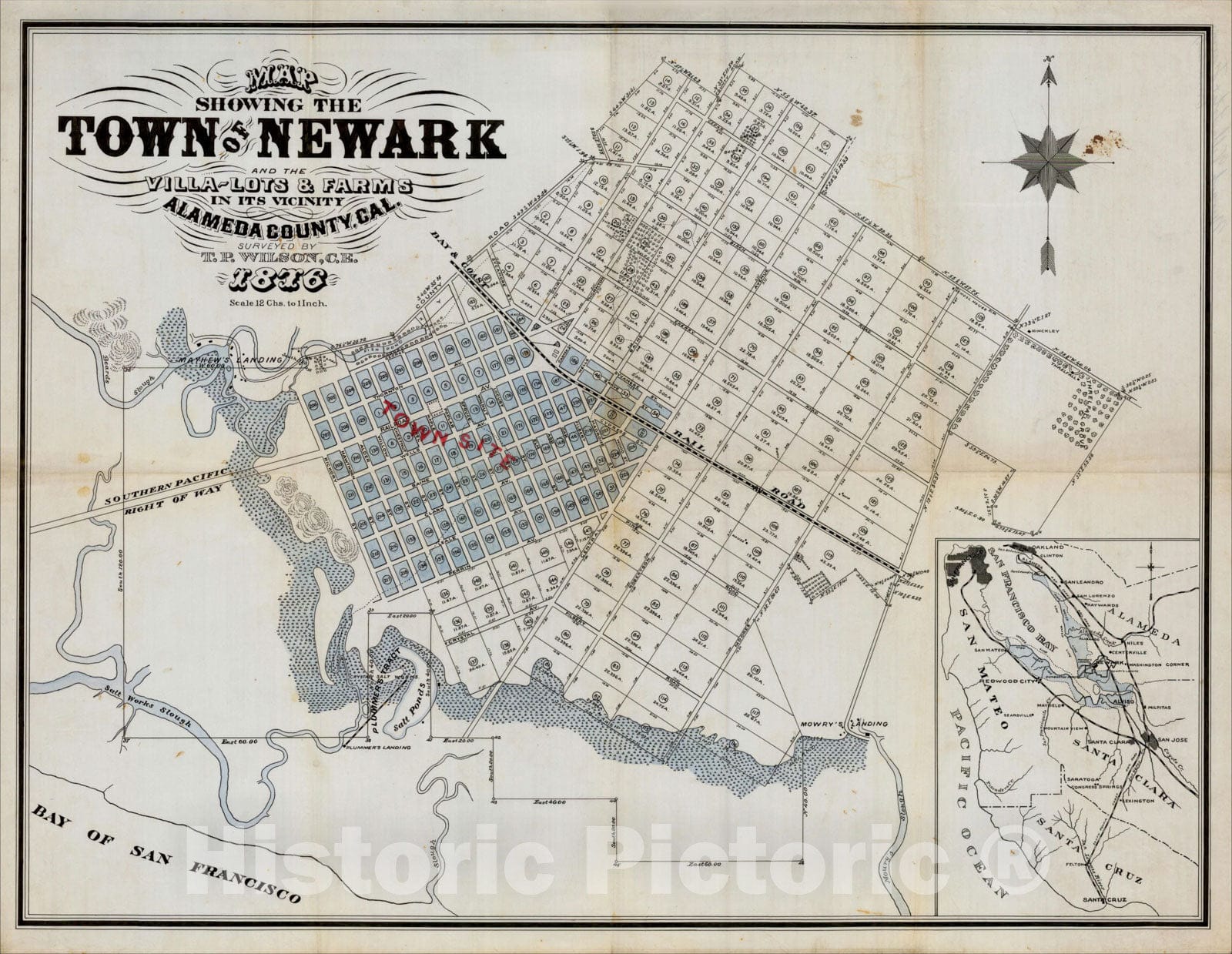 Historic Map : Map Showing The Town of Newark and the Villa-Lots & Farms in its Vicinity Alameda County, Cal. Surveyed by T.P. Wilson, C.E. 1876, 1876, Vintage Wall Art