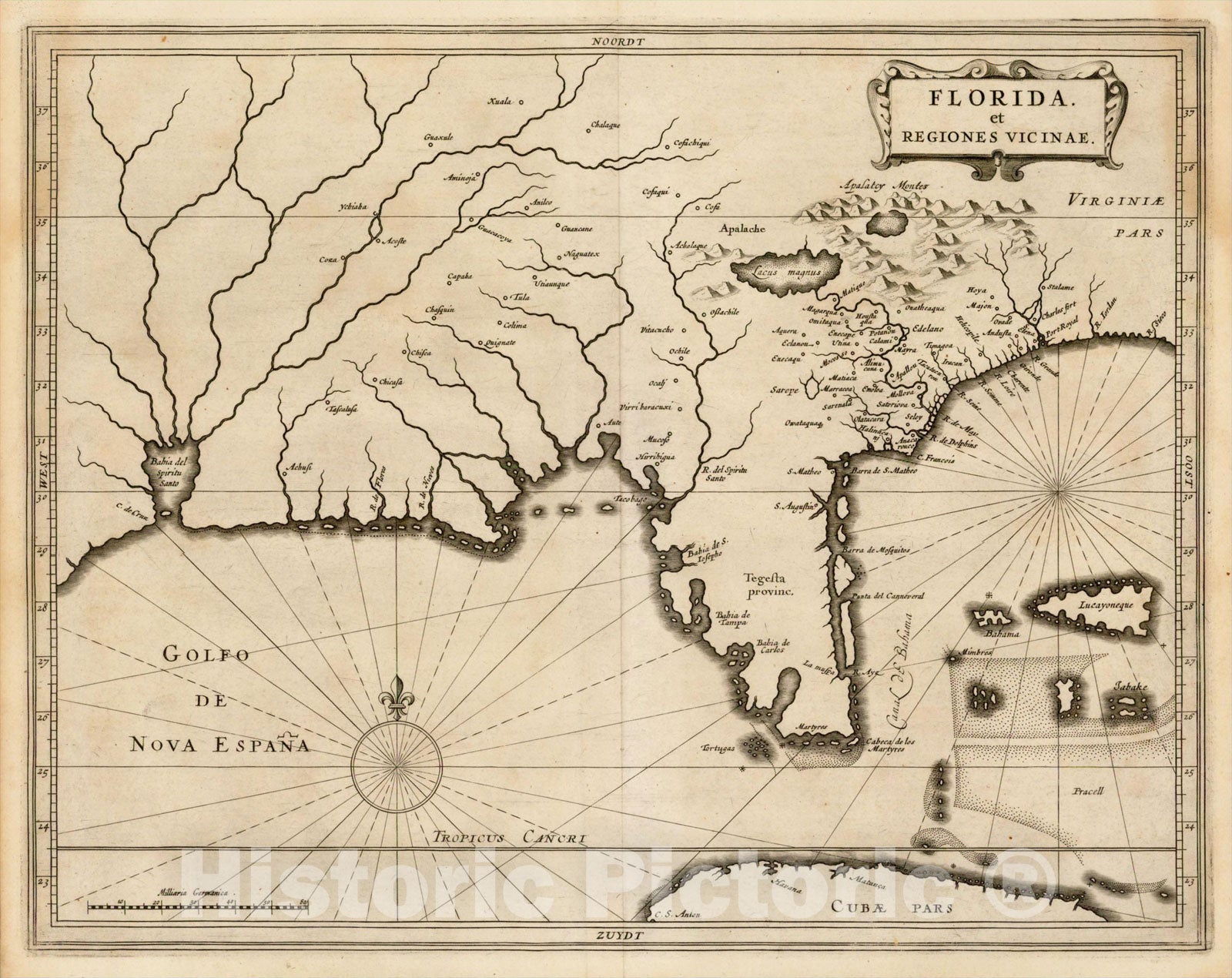 Historic Map : Florida et Regiones Vicinae, 1630, Joannes De Laet, v2, Vintage Wall Art
