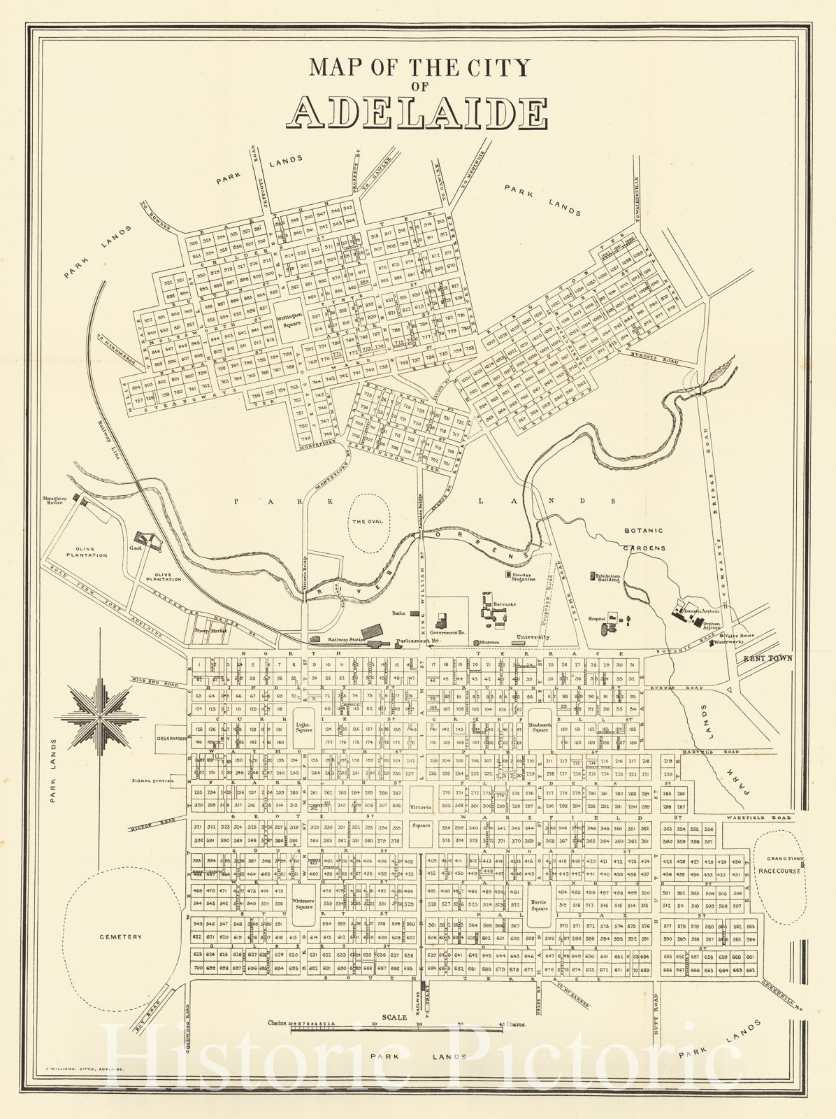 Historic Map : Map of the City of Adelaide, 1878, J. Williams, Vintage Wall Art