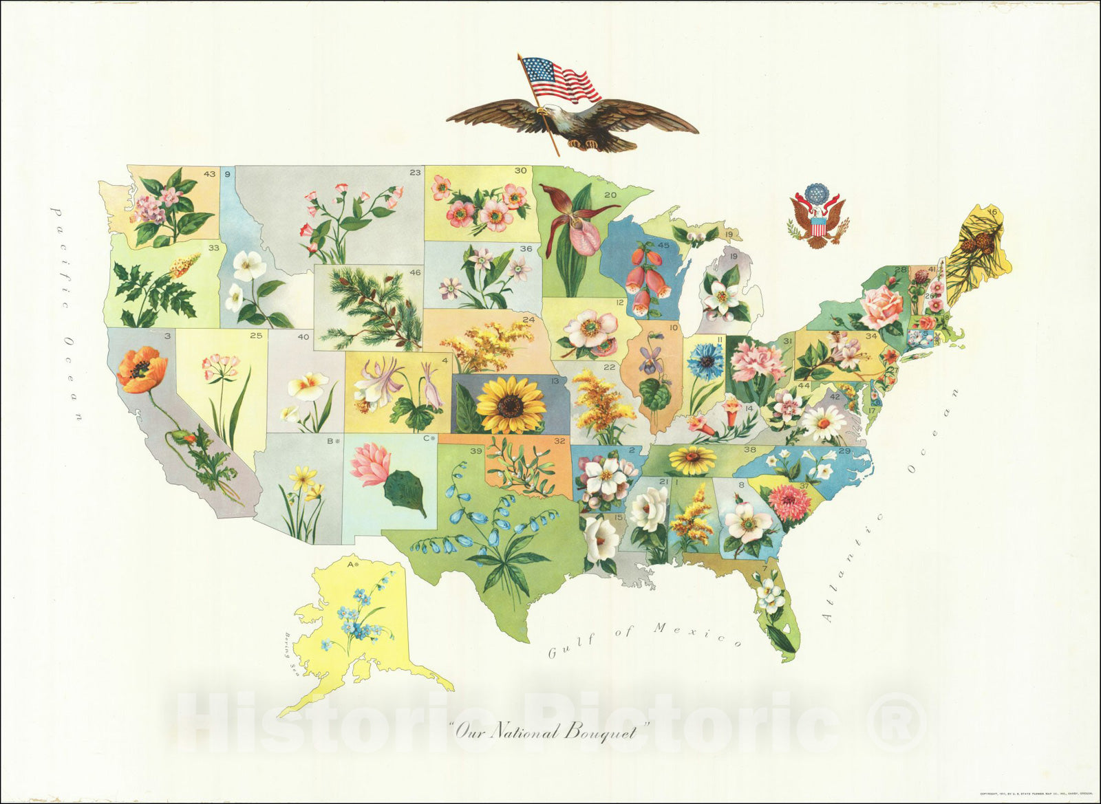 Historic Map : Our National Bouquet, 1911, Anonymous, Vintage Wall Art