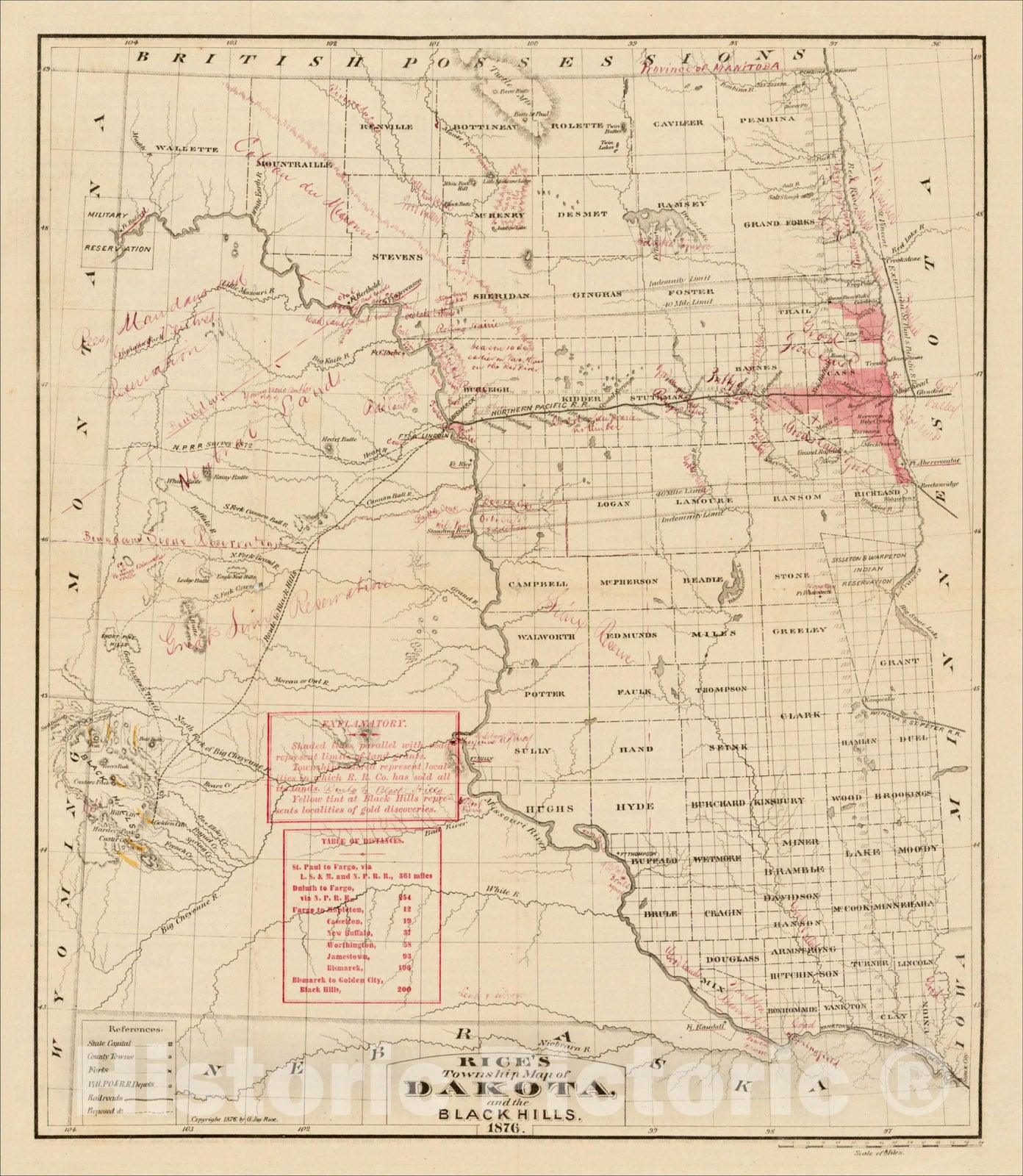 Historic Map : Rice's Township Map of Dakota, and the Black Hills., 1876, G. Jay Rice, Vintage Wall Art