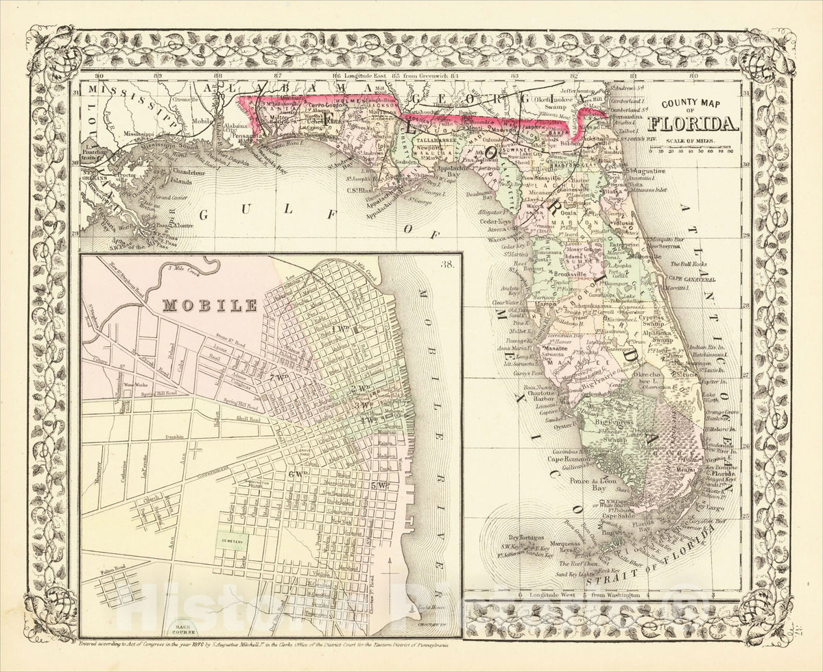Historic Map : County Map of Florida, 1874, Samuel Augustus Mitchell Jr., Vintage Wall Art