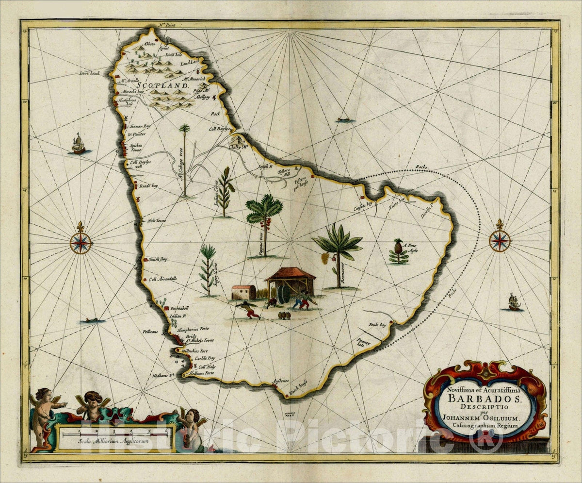 Historic Map : Novissima et Acuratissima Barbados. Descriptio per Johannem Ogilvium. Cosmographum Regium, 1672, John Ogilby, Vintage Wall Art