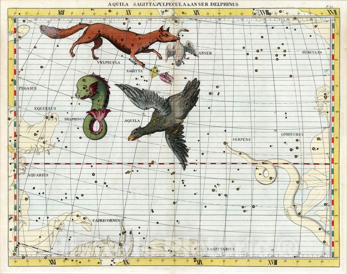 Historic Map : Aquila, Sagitta, Vulpecula & Anser Delphinus., 1728, , Vintage Wall Art