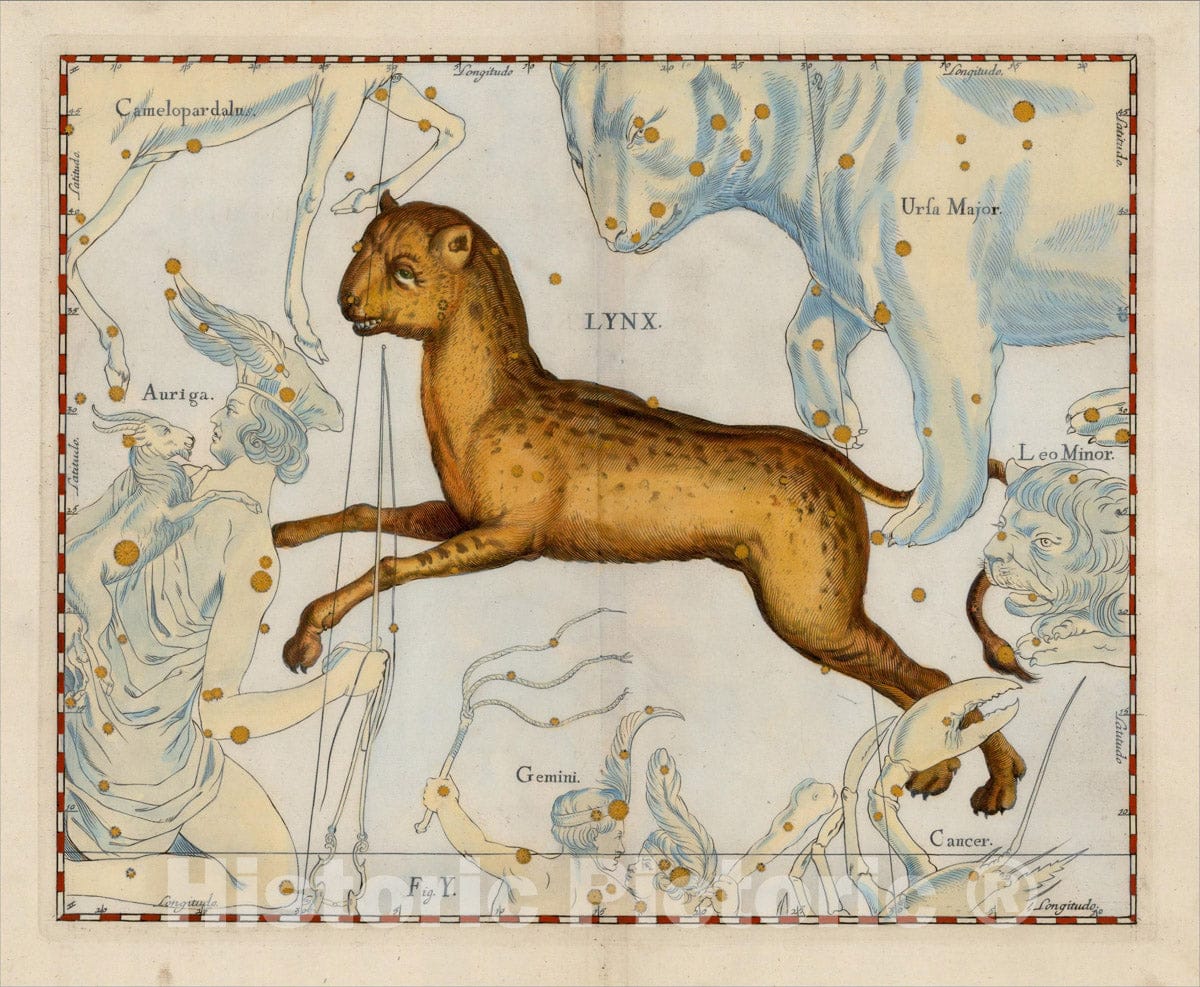 Historic Map : Lynx, 1687, Johannes Hevelius, Vintage Wall Art