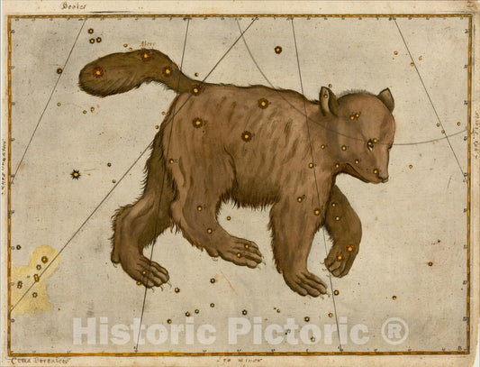 Historic Map : [ Ursa Major ], 1624, Johann Bayer, Vintage Wall Art