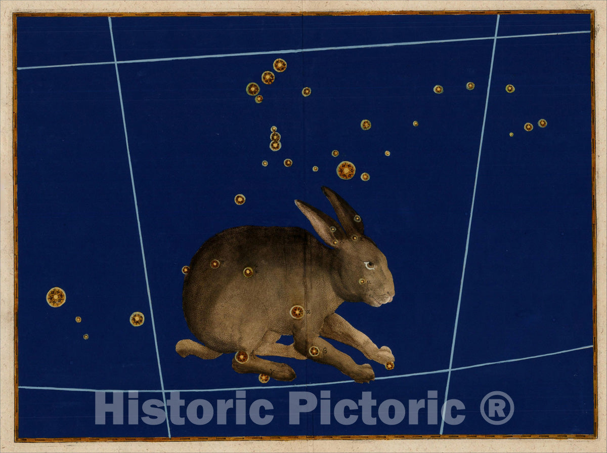 Historic Map : [ Lepus ], 1624, Johann Bayer, Vintage Wall Art