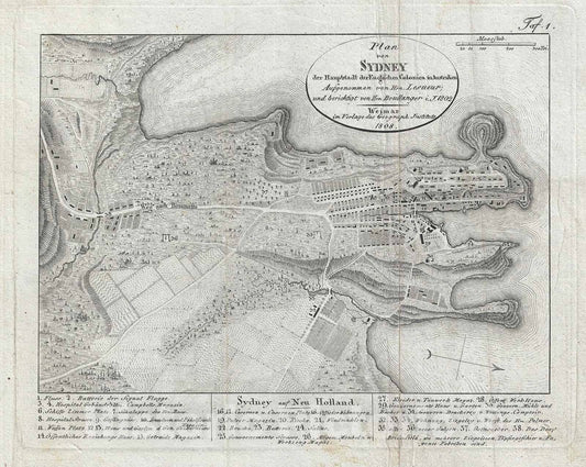 Historic Map : Sydney, New South Wales, Australia, Lesueur and Boullanger, 1808, Vintage Wall Art