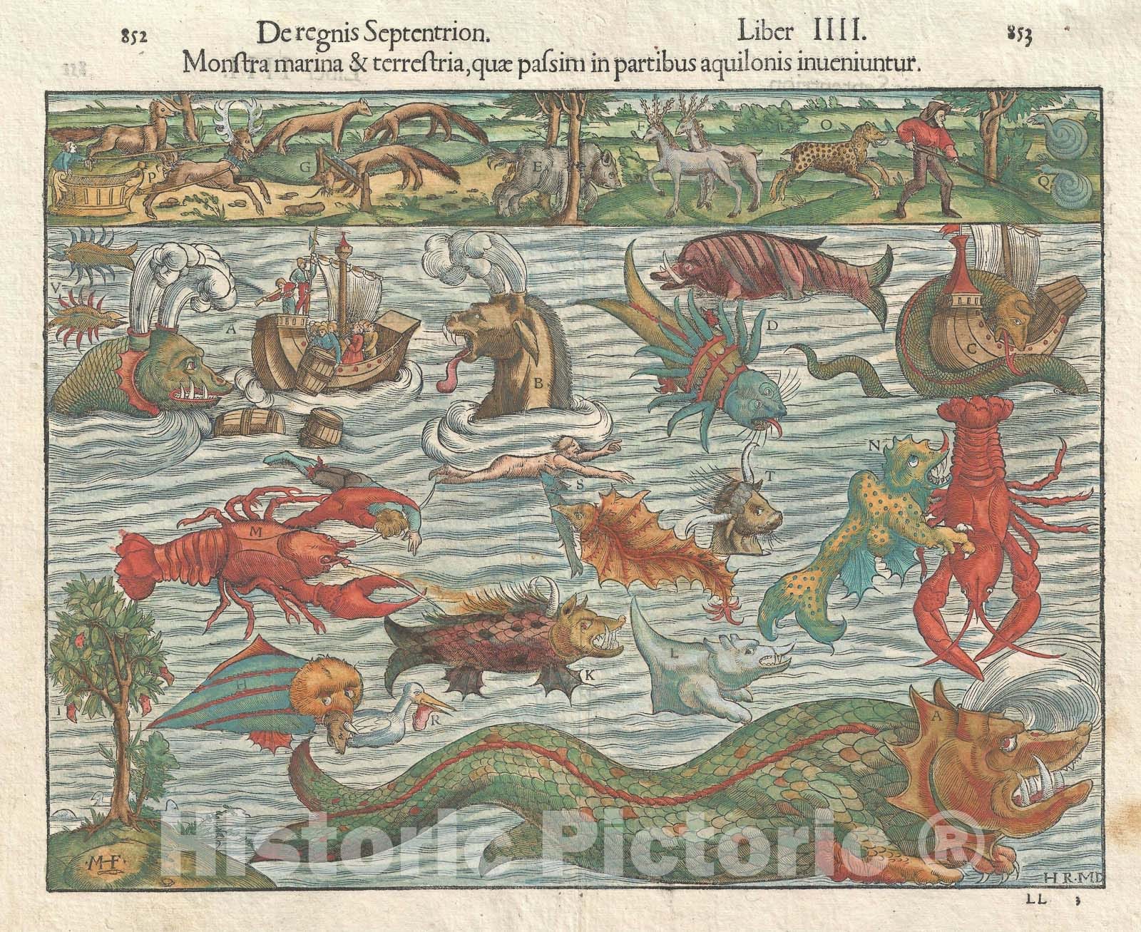 Historic Map : Sea Monsters and Fantastical Beasts, Munster, 1545, Vintage Wall Art