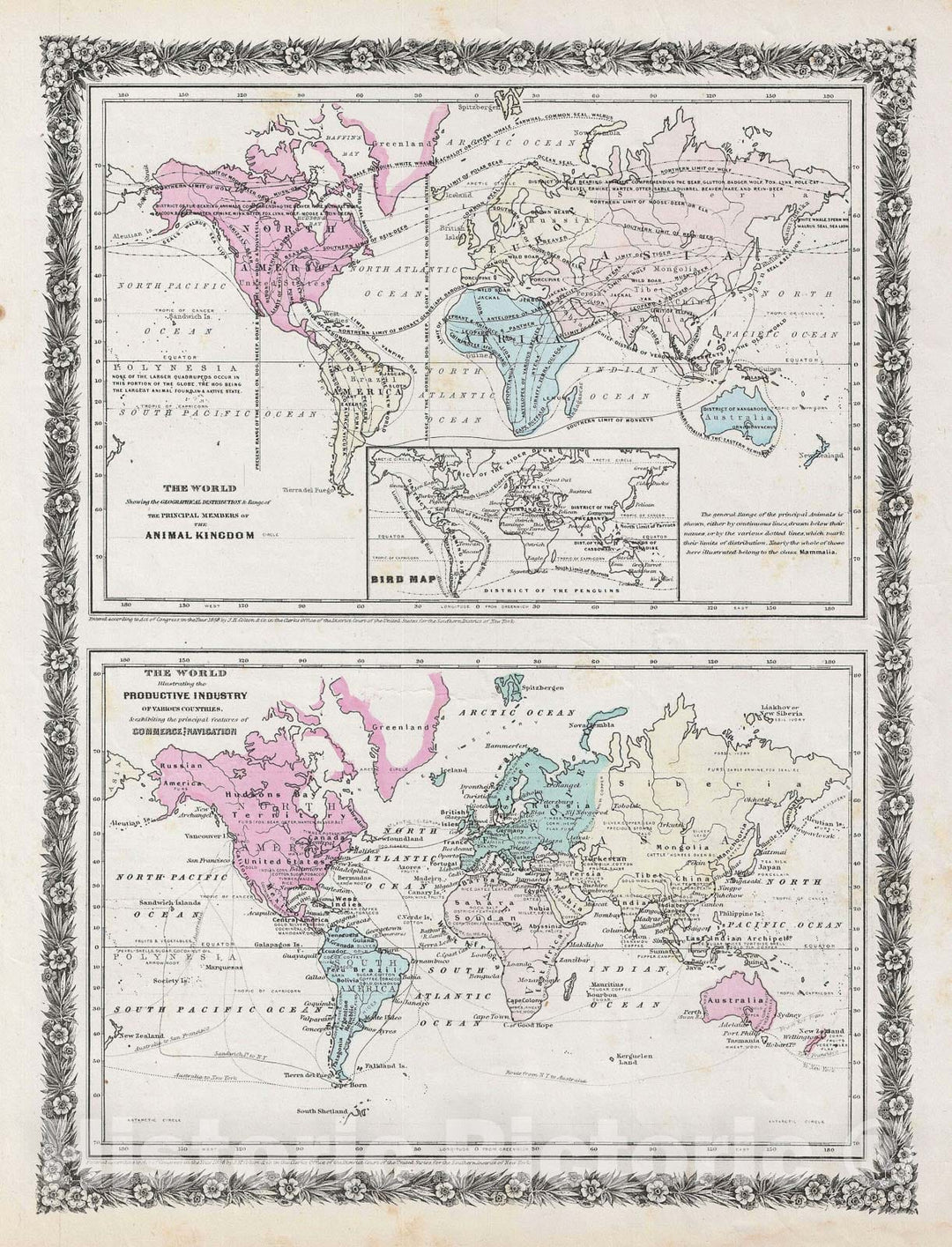 Historic Map : The World Showing The Geographical Distribution of The Animal Kingdom and Illustr, Colton, 1858, Vintage Wall Art