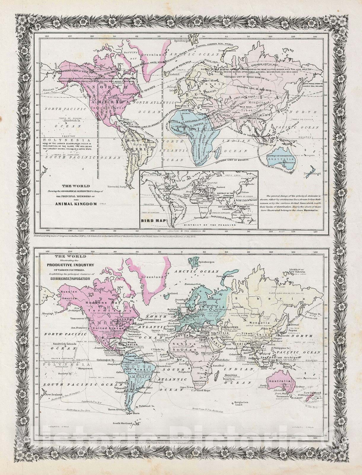 Historic Map : The World Showing The Geographical Distribution of The Animal Kingdom and Illustr, Colton, 1858, Vintage Wall Art