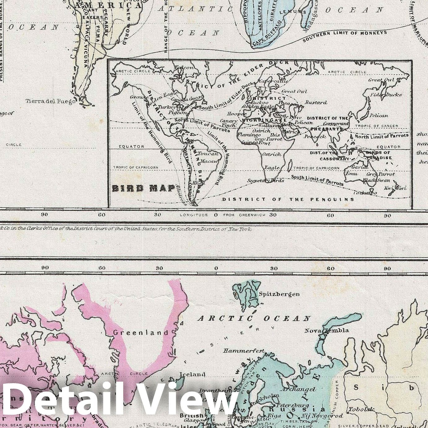 Historic Map : The World Showing The Geographical Distribution of The Animal Kingdom and Illustr, Colton, 1858, Vintage Wall Art