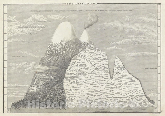 Historic Map : The Mountains &amp; Plants of America, Black and Hall, 1840, Vintage Wall Art
