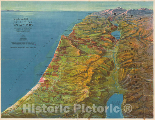 Historic Map : Bird's Eye View Israel / Palestine, Herrmann, 1931, Vintage Wall Art