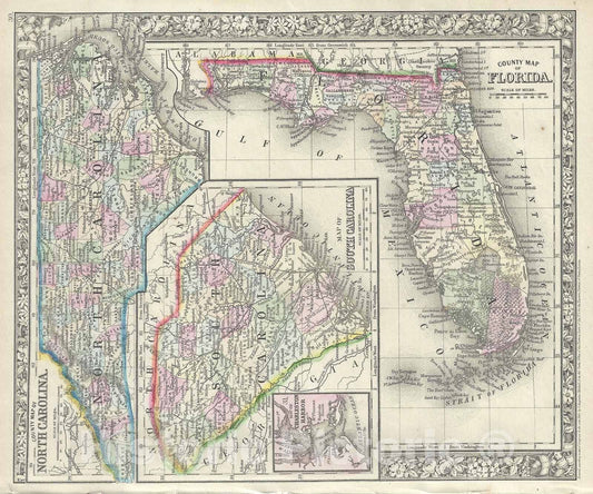 Historic Map : North Carolina, South Carolina and Florida, Mitchell, 1866, Vintage Wall Art