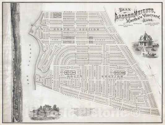 Historic Map : Lagoon Heights "Oak Bluffs", Marthas Vineyard, 1873, Vintage Wall Art