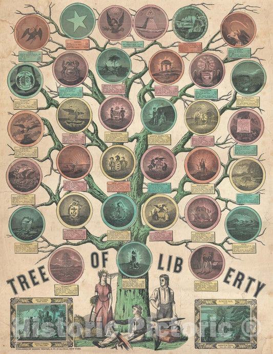 Historic Map : Tree of Liberty' Patriotic Broadside, Ensign and Thayer, 1849, Vintage Wall Art