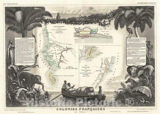 Historic Map : Levassuer Map of Senegal, Senegambia, and Madagascar, 1852, Vintage Wall Art
