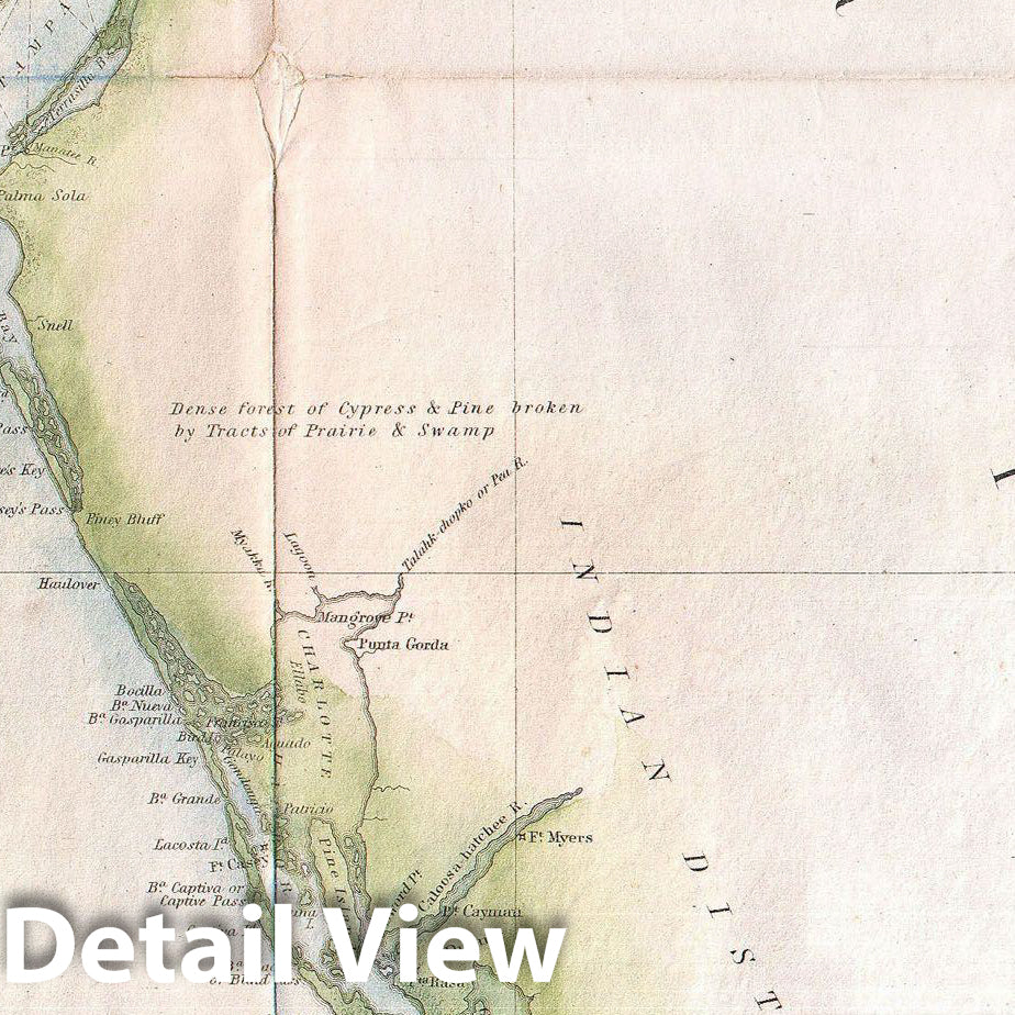 Historic Map : U.S. Coast Survey Map of Florida, 1852, Vintage Wall Art