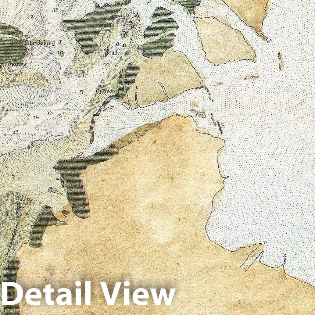 Historic Map : U.S. Coast Survey Map of Cape Fear, North Carolina, 1853, Vintage Wall Art