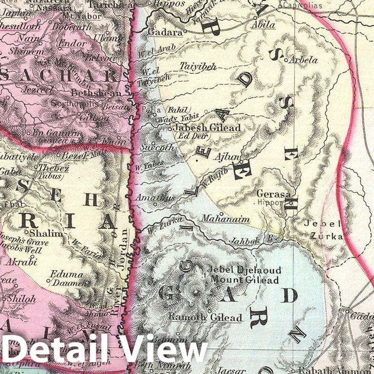 Historic Map : Colton Map of Israel, Palestine or The Holy Land , 1855, Vintage Wall Art