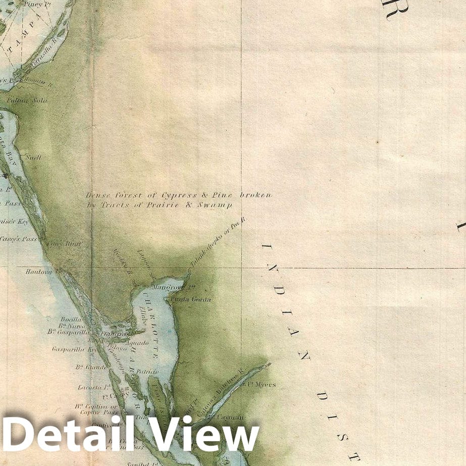 Historic Map : U.S. Coast Survey Map of Florida, Version 3, 1855, Vintage Wall Art