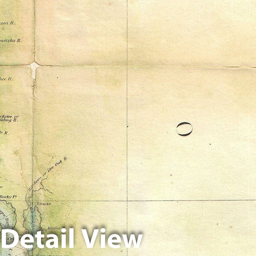Historic Map : U.S. Coast Survey Map of Florida, Version 4, 1857, Vintage Wall Art