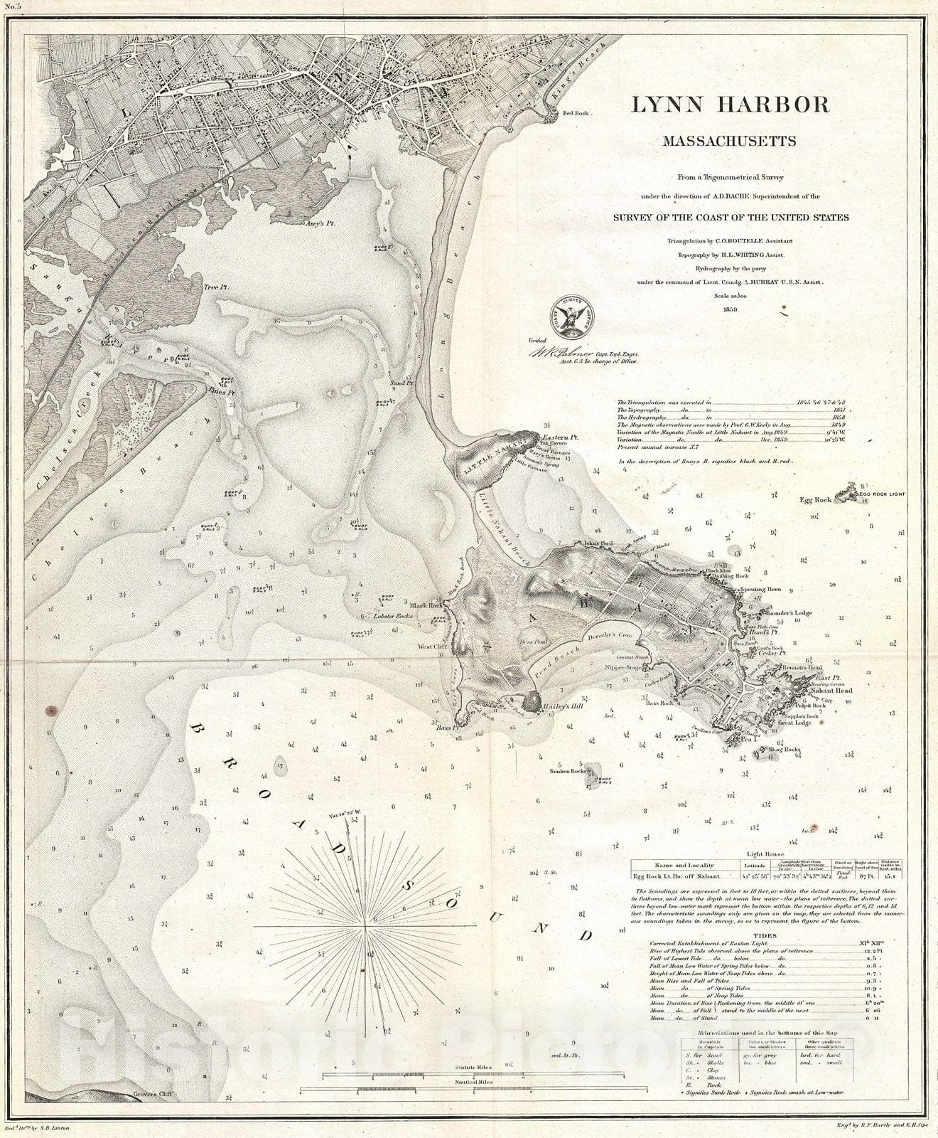 Historic Map : U.S. Coast Survey Map of Lynn Harbor, Massachusetts, 1859, Vintage Wall Art