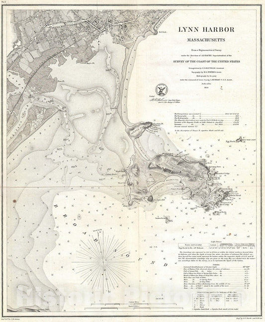 Historic Map : U.S. Coast Survey Map of Lynn Harbor, Massachusetts, 1859, Vintage Wall Art