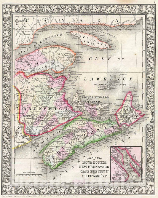 Historic Map : Mitchell Map of New Brunswick and Nova Scotia, Canada, Version 2, 1866, Vintage Wall Art