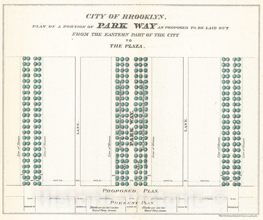 Historic Map : Vaux and Olmstead's Layout Map of Eastern Parkway, Brooklyn, New York , 1868, Vintage Wall Art