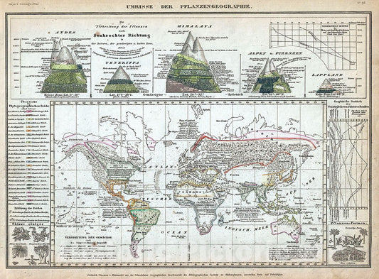Historic Map : Meyer Map Showing The Distribution of Vegetation Over The World, 1852, Vintage Wall Art