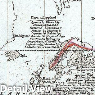 Historic Map : Meyer Map Showing The Distribution of Vegetation Over The World, 1852, Vintage Wall Art