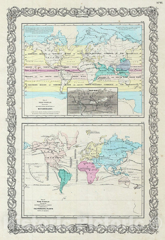 Historic Map : Colton Map of World Plants and Meteorology, 1856, Vintage Wall Art