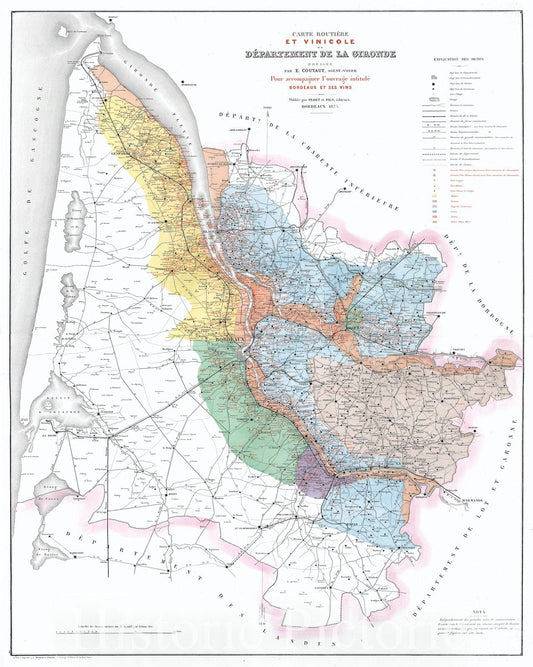 Historic Map : Feret and Fils Wine Map of The Gironde (Bordeaux, Medoc) Showing Vineyards, 1875, Vintage Wall Art