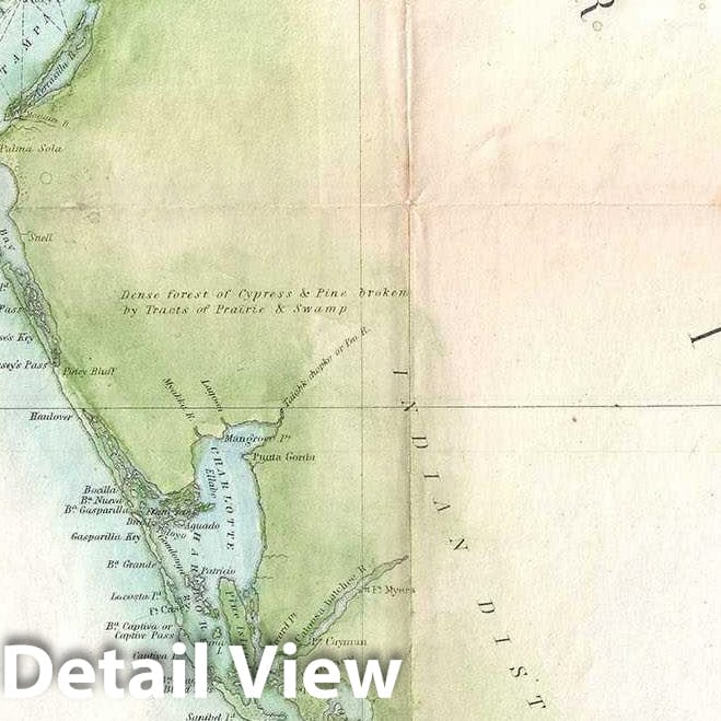 Historic Map : U.S. Coast Survey Chart or Map of Florida, 1851, Vintage Wall Art